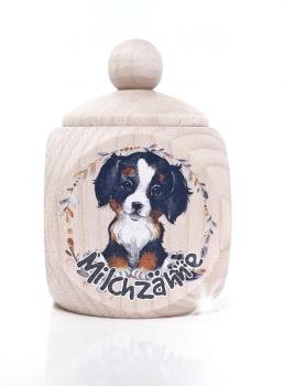 Berner Sennenhund Junge MZD